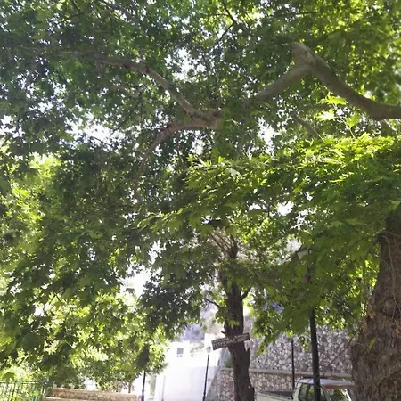 Σπίτι διακοπών Ioli's
